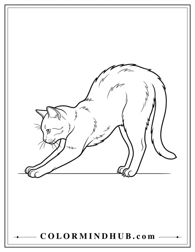 Realistic cat stretching with its back arched coloring page