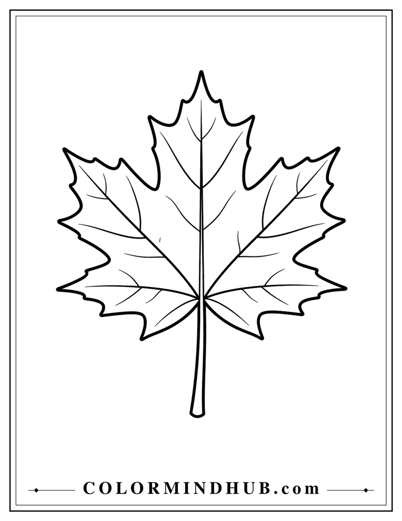 Large classic maple leaf with natural lobes and simple visible veins - fall leaf coloring page
