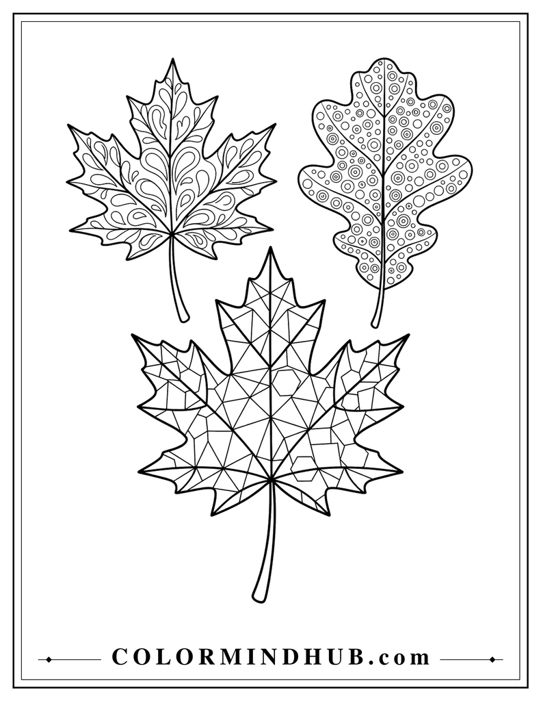 Three large autumn leaves featuring decorative vein patterns with curves, dots, and geometric shapes - fall leaves coloring page
