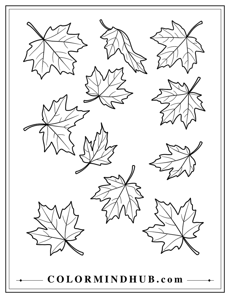 Several maple leaves drifting downward in different directions with simple natural vein patterns - fall leaf coloring page