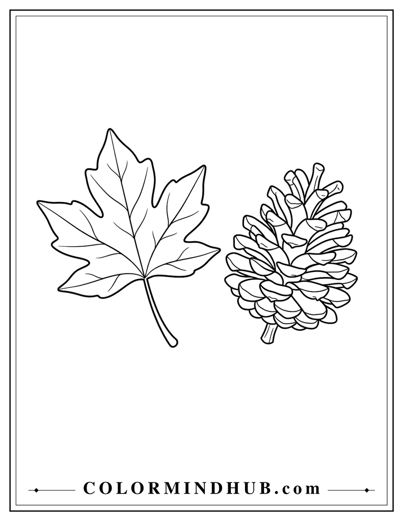 Large autumn leaf resting beside a simple detailed pinecone with natural seasonal shapes - fall coloring page
