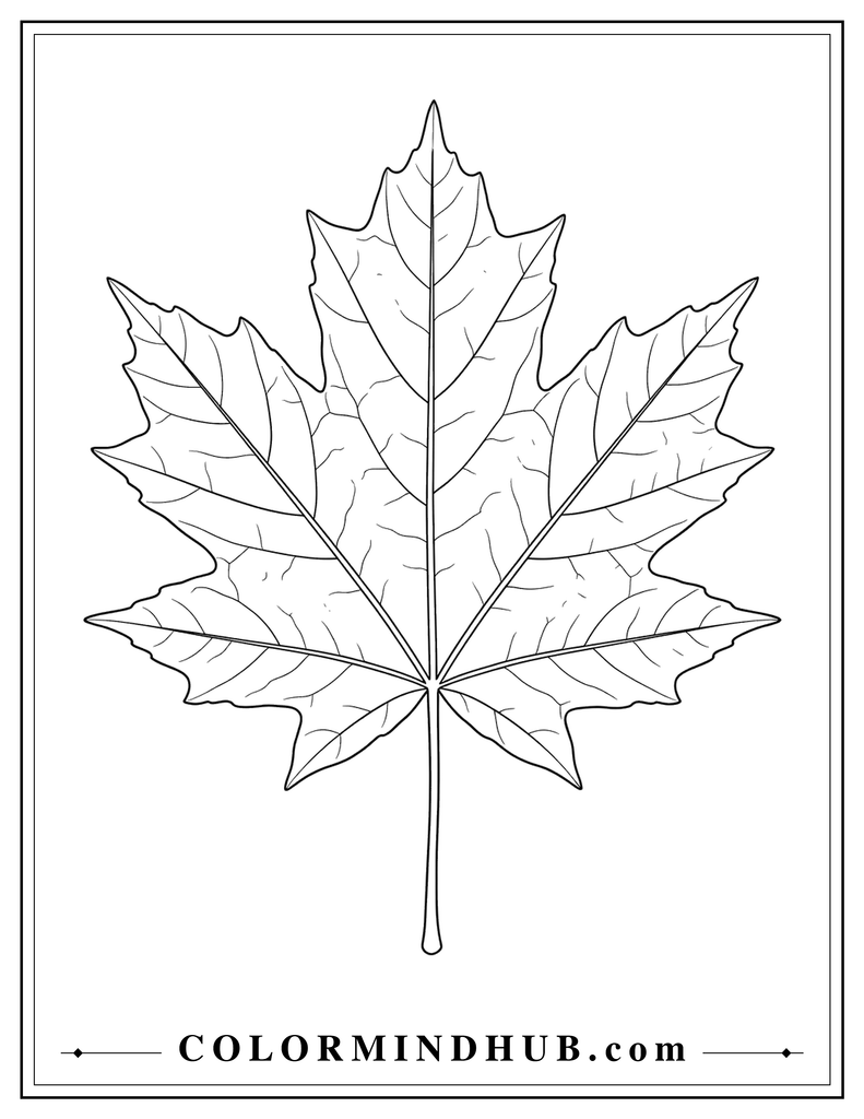 Large close-up autumn leaf with a central vein and branching natural veins - fall leaf coloring page for kids and adults
