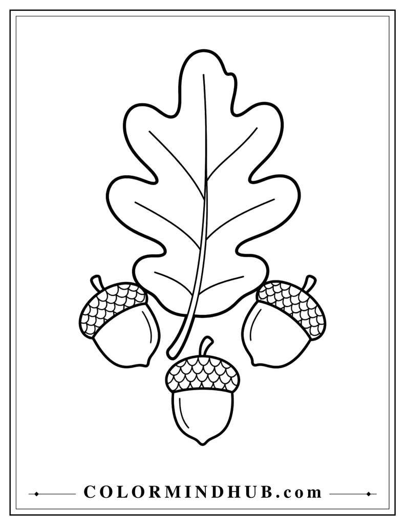 Large oak leaf surrounded by three simple acorns with natural vein details - autumn leaf coloring page