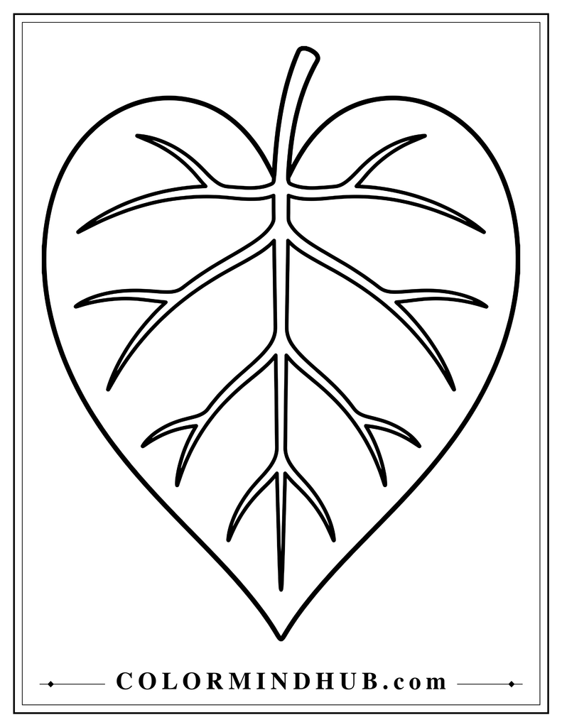 Large heart-shaped leaf with a short stem and three branching veins on each side.